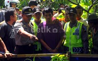 Dalam olah TKP tersebut, polisi juga menghadirkan pelaku pembongkaran makam Resi Rokhis Suhana (27).