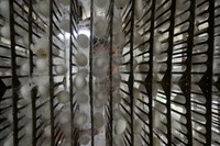 Dalam usaha ulat sutera putih, produk yang dihasilkan oleh pelaku usaha berupa koko, benang dan kain, pupuk dari kotoran ulat, teh daun murbei serta kerajinan dari kokon yang cacat. Nurcholis Anhari Lubis/Getty Images.