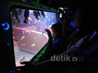 Libur Natal, Seaworld Ramai Pengunjung