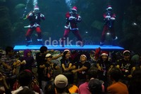     Tiga penyelam berjoget Caisar di akuarium Seaworld, Rabu (25/12/2013).