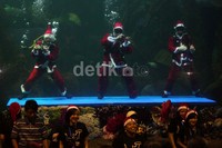 Tiga penyelam itu berjoget sambil mengenakan kostum Sinterklas.
