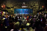 Para pengunjung merasa terhibur dengan aksi tiga penyelam tersebut. Selain ikut berjoget mereka juga mengabadikan aksi tiga penyelam tersebut.