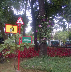 Serunya ke Taman Pustaka Bunga, Bisa Lihat 100 Ribu Spesies