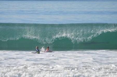 Surfer Nyaris Digulung Ombak.... Bersama Hiu