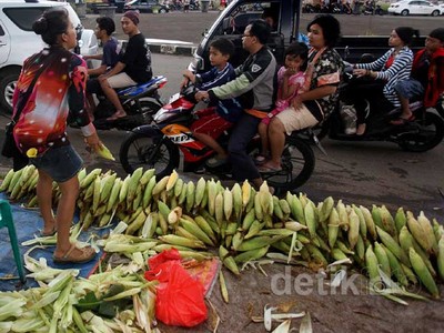 Jagung Diserbu Warga