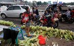 Jagung Diserbu Warga