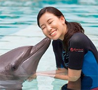 Asyiknya Bermain dengan Lumba-lumba yang Ramah di Dolphin Island