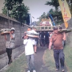 Rebo Pungkasan, Tradisi Tolak Balak Warga Banyuwangi Awal 2014