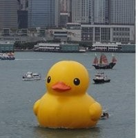 Bebek Kuning Raksasa Meledak di Taiwan