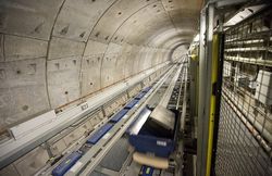 Menguak Rumitnya Perjalanan Tas Bagasi di Bandara