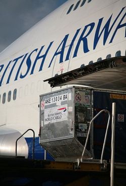 Menguak Rumitnya Perjalanan Tas Bagasi di Bandara