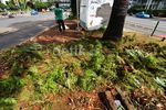 Taman di Sekitar Bundaran HI Rusak Terinjak-injak