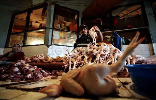 Masuk Awal Tahun, Harga Daging Ayam Turun