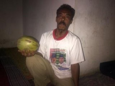 Tertimpa Kelapa, Bayi 7 Bulan Tewas