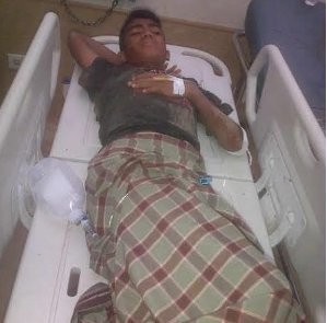 1 Orang Tewas Diserang Gajah Liar di Aceh