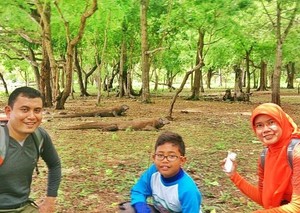 Petualangan Keluarga di Pulau Komodo