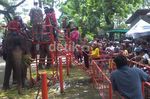Ribuan Pengunjung Padati KBS