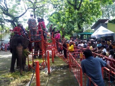 Akhir Liburan, Kebun Binatang Surabaya Dijubeli Wisatawan