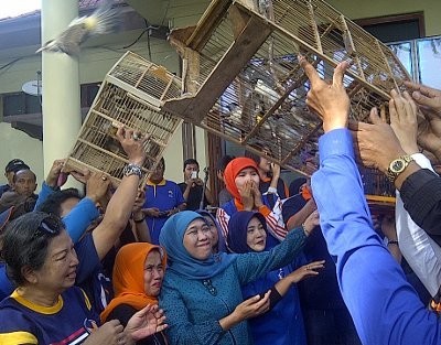 Khofifah Dukung Aksi Biar Surabaya Berkicau, NasDem Puji Risma