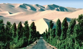 Jonathon mengimajinasikan pemerintah China menggalakkan penghijauan, bahkan di daerah gurun. (kredit foto: the world we made)