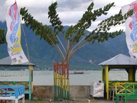 Palu adalah kota dengan pantai berbentuk teluk. Dari Talise, wisatawan bisa melihat laut lepas sekaligus perbukitan hijau yang menjulang di belakangnya (Sastri/detikTravel)