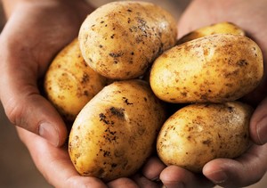 Memilih Jenis Kentang untuk Mashed Potatoes