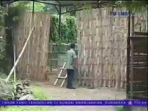 Lagi, 2 Satwa Koleksi KBS Mati