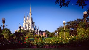 Disneyland Mana yang Paling Banyak Wahananya?