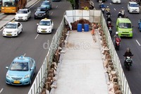 Sejumlah pohon di jalur hijau juga sudah dipangkas guna pengerjaan proyek transportasi massal tersebut.