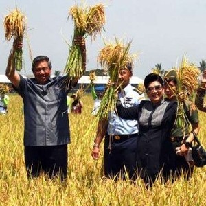 Program Pertanian SBY di 2014 Telan Rp 66,9 Triliun