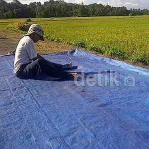 Mentan Suswono Khawatir Ancaman Serbuan Pangan Impor di 2014