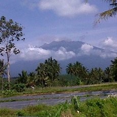Gempa Tremor Gunung Api Raung Meningkat