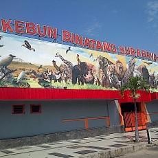 Pantau Kondisi Satwa, Pemkot akan Pasangi KBS dengan CCTV