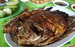 Makan Gurami Bakar dan Cah Kangkung di Pondok Kharitzma, Kuningan