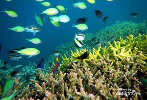 Gili Kondo, Si Cantik Jelita dari Lombok Timur