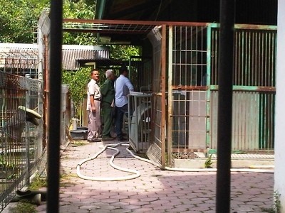 Mayat Singa KBS Sudah Diformalin, Petunjuk Polisi Makin Buntu