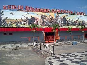 Polisi Periksa 5 Orang Terkait Kematian Singa KBS