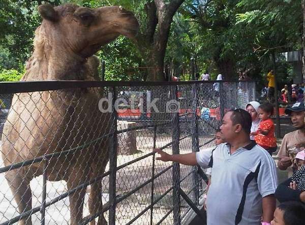 Setelah Michael dan Melani, Siapa Lagi Korban Zoo of Death KBS?