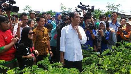 Tinjau Hutan Kota di Semper, Jokowi Janji Buatkan Jalan yang Mulus