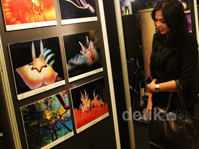 Keindahan Bawah Laut Indonesia Dipamerkan