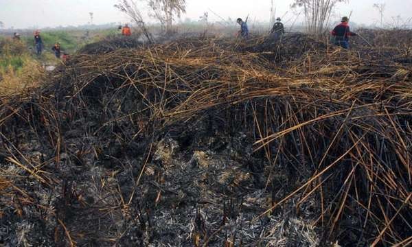 Perang Melawan Pembakar Lahan Gambut, Kementerian LH Menang Rp 368 M