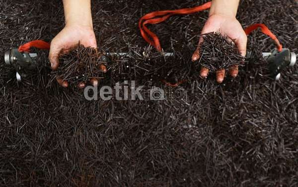 Ngeri, 7 Kuintal Paku Dipungut dari Jalanan Jakarta