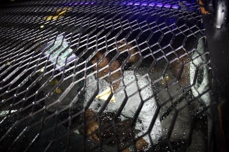 Ini Pelempar Telur ke Anas yang Diamankan Polisi