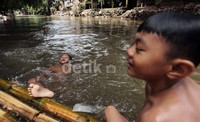 Beberapa di antaranya, asyik berenang di sungai.