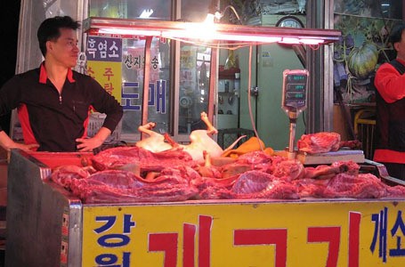 Sup Daging Anjing dan Ikan Penis, Makanan Paling Ekstrim di Korea Selatan