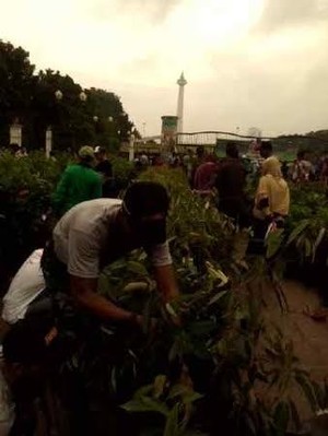 Paspampres Bagikan Ribuan Bibit Buah ke Warga yang Beraktivitas di Monas