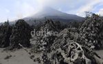 Hujan Guyur Sinabung, Tanaman Warga Tertutup Lumpur