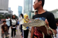 Kegiatan ini cukup menyita perhatian warga.