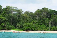 Teluk Ijo terletak di Kecamatan Pesanggrahan, Kabupaten Banyuwangi, Jawa Timur. Jaraknya sekitar 90 Km dari Kota Banyuwangi (Budi/ detikTravel)