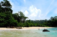Dinamakan Teluk Ijo karena memang perairannya berwarna hijau kebiruan. Sangat menawan! (Budi/ detikTravel)